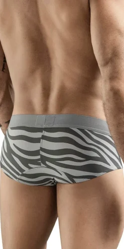 Clever 1801 Cebra Briefs Gray