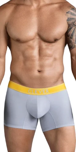Clever 1755 Diseno Trunks Gray
