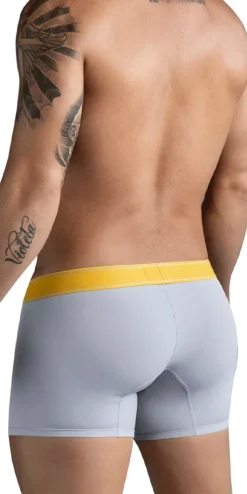Clever 1755 Diseno Trunks Gray