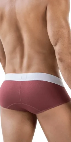 Clever 1863 Lecler Briefs Grape