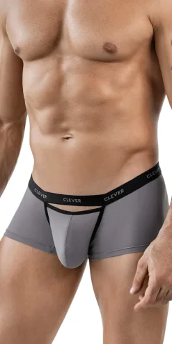 Clever 1866 Tokio Trunks Gray