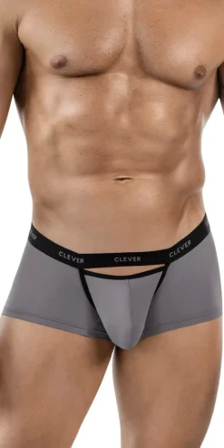 Clever 1866 Tokio Trunks Gray
