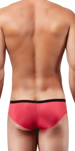 DOREANSE 1377 Boost Cheeky Brief In Fuchsia
