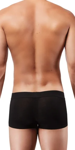 DOREANSE 1760 Low-rise Trunk In Black