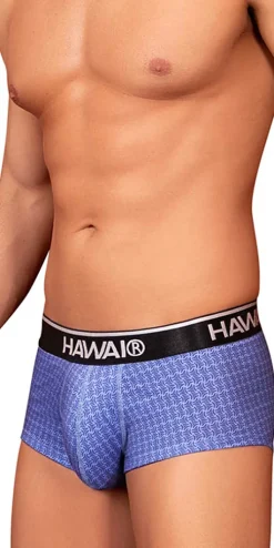 Hawai 42431 Printed Briefs Blue