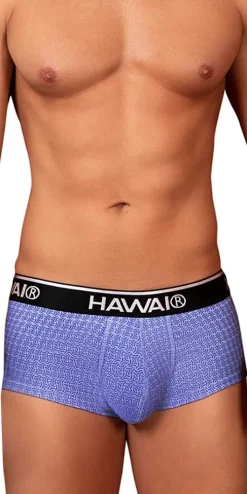 Hawai 42431 Printed Briefs Blue