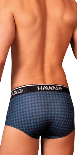 Hawai 42430 Printed Briefs Blue