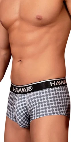 Hawai 42430 Printed Briefs Gray