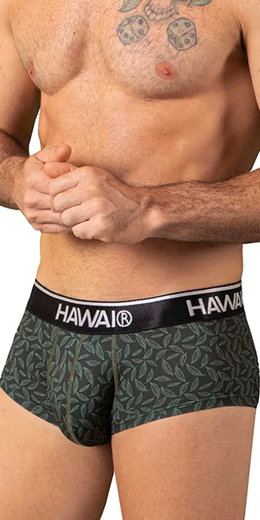 Hawai 42380 Printed Briefs Green