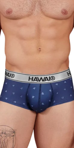 Hawai 42480 Printed Microfiber Briefs Blue
