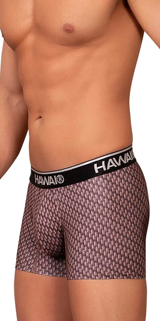 Hawai 42420 Printed Trunks Cocoa