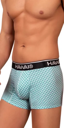 Hawai 42421 Printed Trunks Green