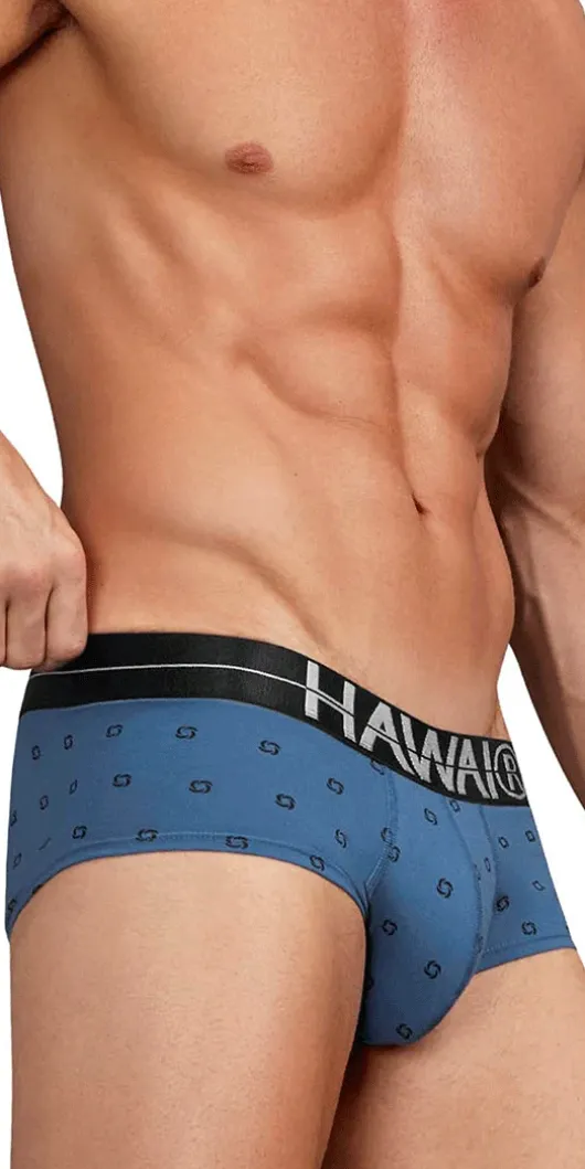 Hawair 42531 Cotton Blend Briefs Blue Quartz