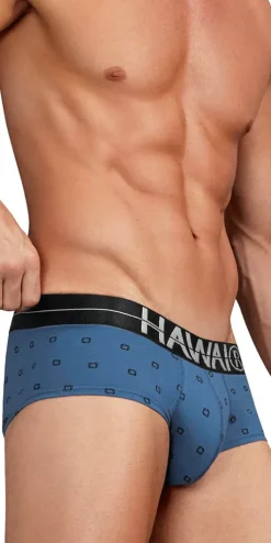 Hawair 42531 Cotton Blend Briefs Blue Quartz