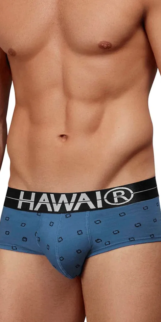 Hawair 42531 Cotton Blend Briefs Blue Quartz