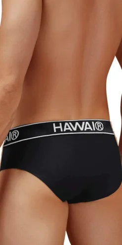 Hawair 41962 Cotton Blend Briefs Black-01