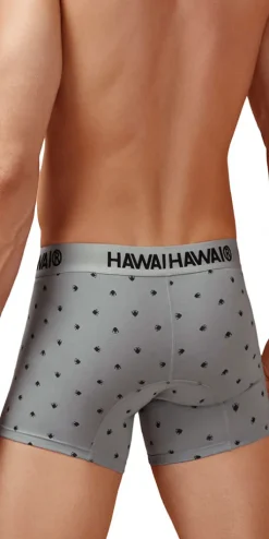 Hawair 42571 Cotton Blend Trunks Gray