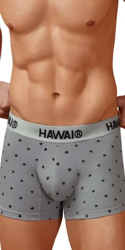 Hawair 42571 Cotton Blend Trunks Gray