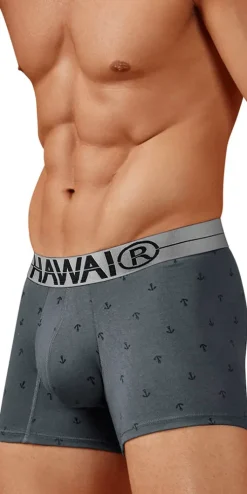 Hawair 42521 Cotton Blend Trunks Gray