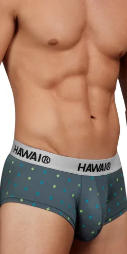 Hawair 42580 Microfiber Briefs Gray