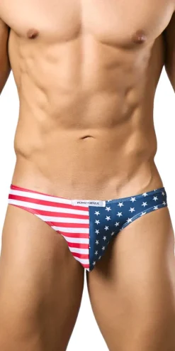 Justin+simon Xsj01 Classic Silky Bikini Usa Flag