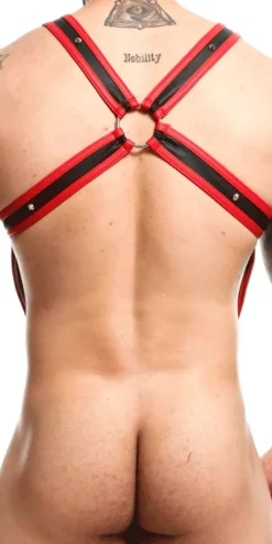 Malebasics Dmbl07 Dngeon Cross Cock Ring Harness Red