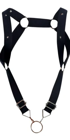 Malebasics Dmbl06 Dngeon Straigh Back Harness Black