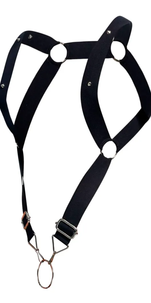 Malebasics Dmbl06 Dngeon Straigh Back Harness Black