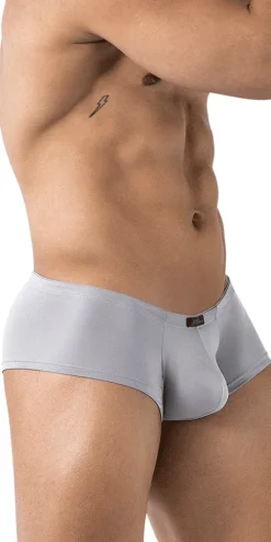 Xtremen 91219 Microfiber Trunks Gray