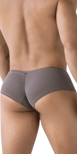 Xtremen 91225 Microfiber Trunks Gray
