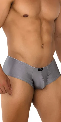 Xtremen 91180 Microfiber Trunks Silver