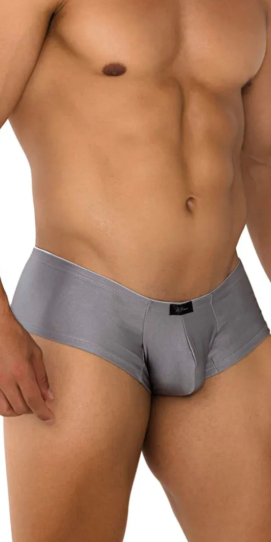 Xtremen 91180 Microfiber Trunks Silver