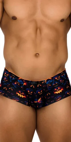 Xtremen 91193 Printed Trunks Pumpkins