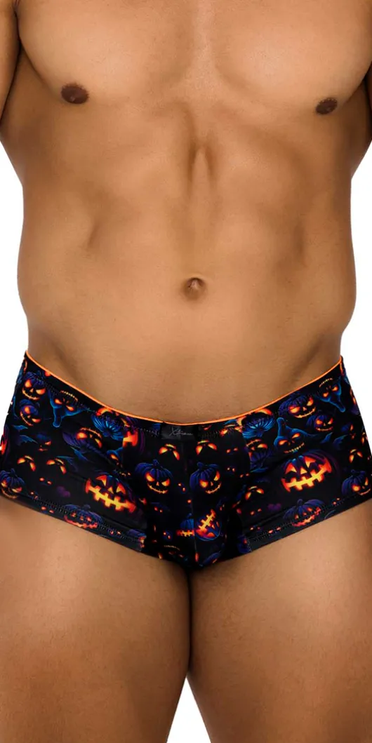 Xtremen 91193 Printed Trunks Pumpkins