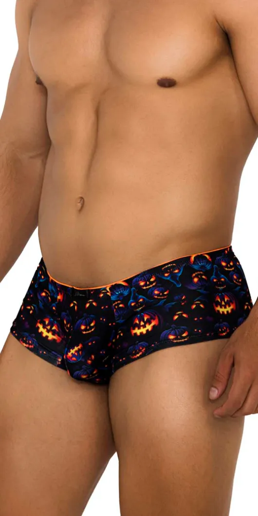 Xtremen 91193 Printed Trunks Pumpkins