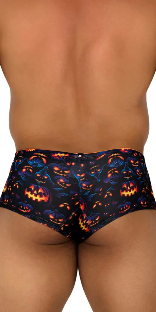 Xtremen 91193 Printed Trunks Pumpkins