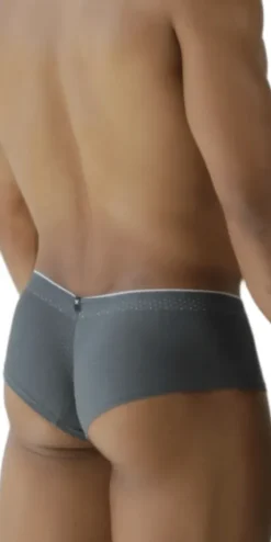 Xtremen 91269 Sleek V-cut Performance Mesh Briefs Gray