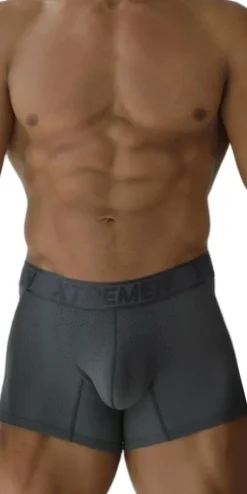 Xtremen 91251 Xtremen Micro-perforated Boxer Briefs Gray