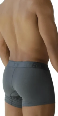 Xtremen 91251 Xtremen Micro-perforated Boxer Briefs Gray